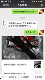 在线观看国产永久免费片中文版,免费观看，尽享中文魅力