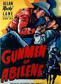 枪手电影国产在线,国产动作片中的枪战传奇